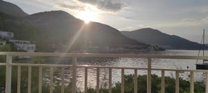 Apartman PITOSPORA