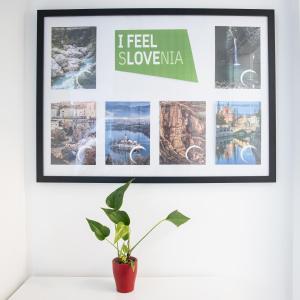 Apartment MaRI&BoR-No Stairs, Easy Access