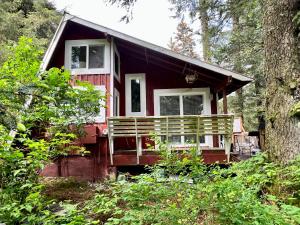 The Shoreline Cabin - An Authentic Alaskan Retreat