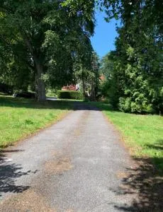 Netherton Studio Apartment 1 - 老科尔温