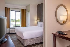  Suite, 1 King Bed, Microwave/Mini Fridge, Sofa Bed, Living Space room in SpringHill Suites by Marriott Norfolk Virginia Beach
