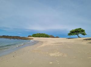 casa de playa Paraíso terrenal