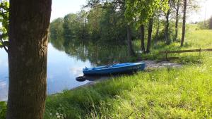 Domki na Mazurach Kurka Wodna