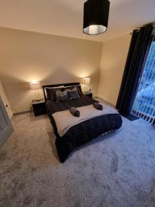 Donard View Apartment