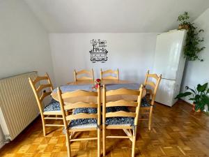 Prijeten prostoren apartma v hiši