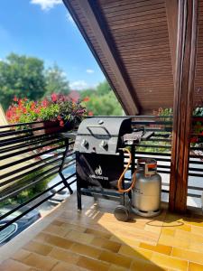 Prijeten prostoren apartma v hiši