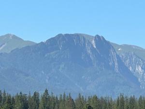 Apartament Krystynka Giewont