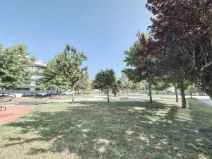 Apartamento Decanelas