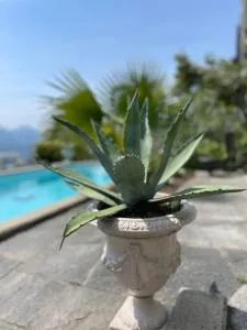 Casa Sonora - Orselina