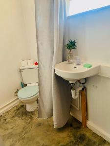 Babu Backpackers inn