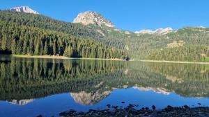 Gorska Vila Apartments