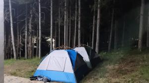 Bujtinat Skenderi Gjinar 2