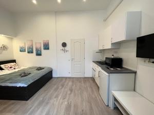 D58 Apartments in the city center