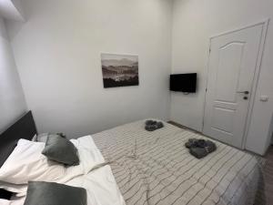 D58 Apartments in the city center