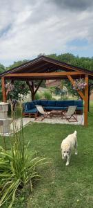 Apartman Stilin Vrdnik