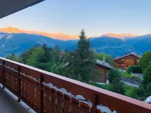 Appartement traversant secteur Violettes - Mollens