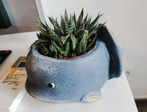 CASA VALENTINA-Appartamento in punto strategico con vista