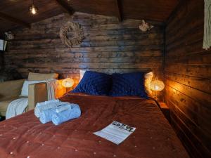 Chalets La Cabane de l’Explorateur : photos des chambres