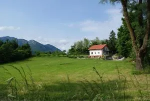 莱尼公寓 - 波斯托伊纳