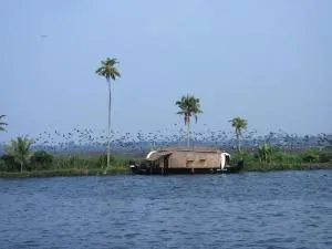 Abad Premium House Boat - Kumarakom
