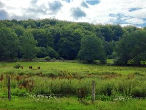 Stuga i natursköna mittskåne