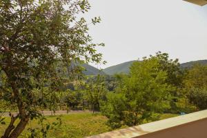 Azienda Agricola Sebastiani