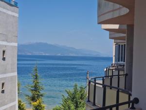 Elton Home Tushemisht