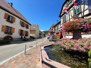 Appartements Gite A l'aigle de sable : photos des chambres