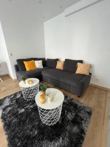 Appartements Superbe appartement moderne en rez-de-chaussee : photos des chambres