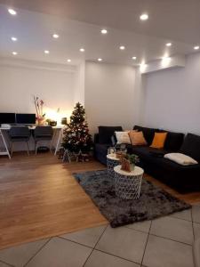 Appartements Superbe appartement moderne en rez-de-chaussee : Appartement 1 Chambre