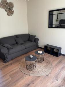 Appartement CHALEUREUX F2 - proche MER-Terrasse - entièrement équipé-LINGE MAISON -CANET 66