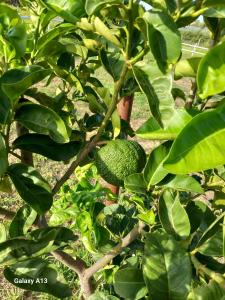 Casa con bella vista img23