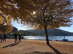 Appartements Gite de Montagne 