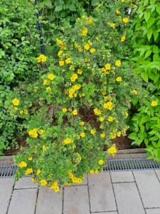 Ferienwohnung Brenner