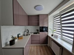 Seaside Vitolu street Apartment