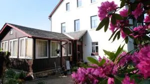 Villa Lydia - 弗劳恩施泰因山