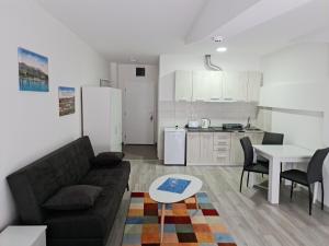 Studio apartmani Banja Koviljaca