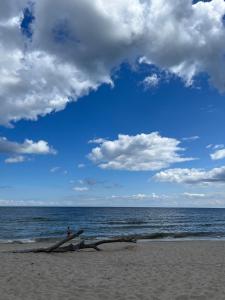 Piejūras apartaments