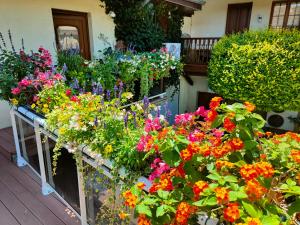 Maisons de vacances GITE DE LA FONTAINE : photos des chambres