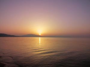 Alkion Boutique Living