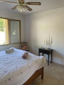 Villas Quillan Villa with Pool : photos des chambres