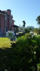 Alto Belo - Felgueiras