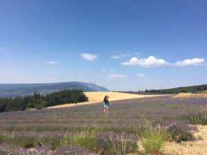 Maisons de vacances Gite en Provence Lavande : photos des chambres