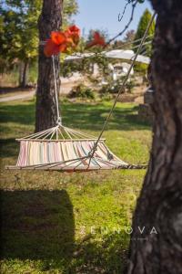 Zennova #20 Dream Nest