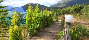 Moon Valley, kanthalloor