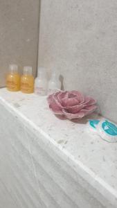 Guest House Muslica