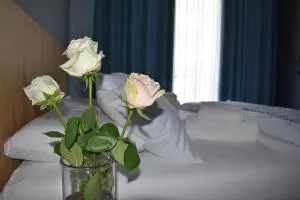 Olive House - Goljemas