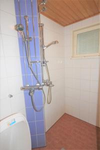 Omakotitalo 4-6 hengelle - House