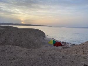 Blend in Nature Eco Camp Beachfront Stay in Ras Mohamed, Sharm El Sheikh