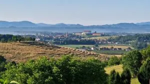 Apartma pri Boru - Biš